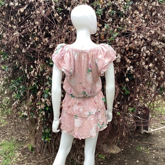 💋Yumi Kim Joy Ride Blush Betty Ruffle Mini Dress - Picture 5 of 10